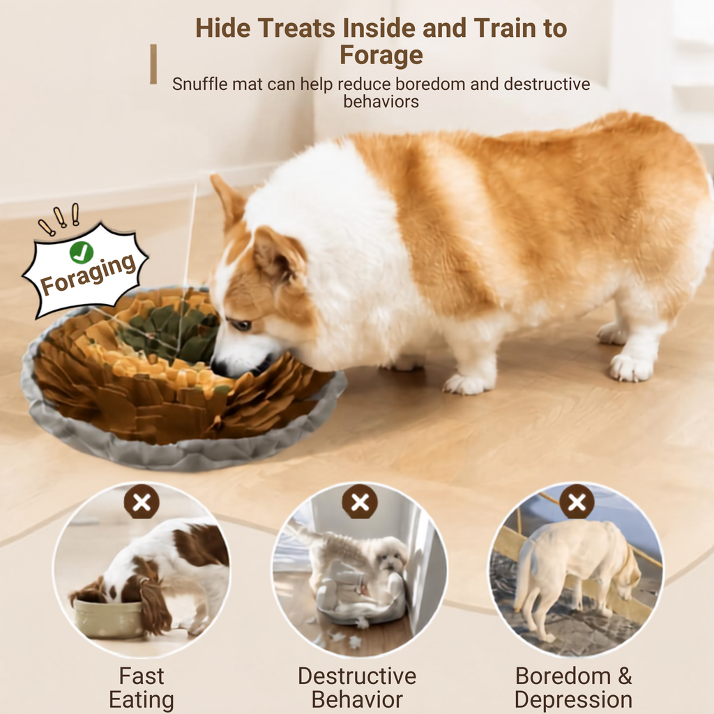 ScentLuxe Sniff Mat 🐽 -  Slow Down. Sniff More. Live Better.