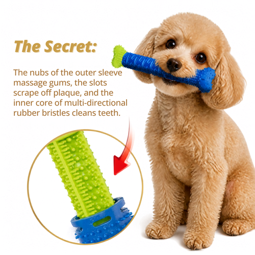 GrindClean Dog Chew Bone 🦴- Chew More. Stress Less. Smile Brighter.