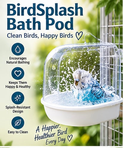 The Splash Suite — Transparent Bird Bath Tub for Parrots & Lovebirds 🦜💧