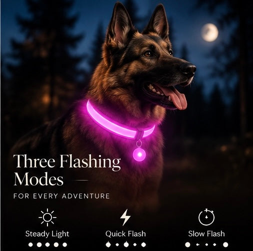 The Glow Up Collar — LED Luminous Dog Collar with Glitter Pendant, USB or Battery 🐕✨