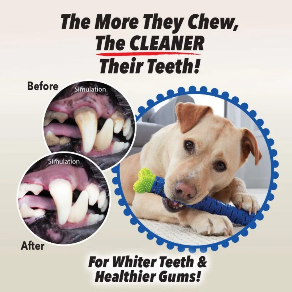 GrindClean Dog Chew Bone 🦴- Chew More. Stress Less. Smile Brighter.