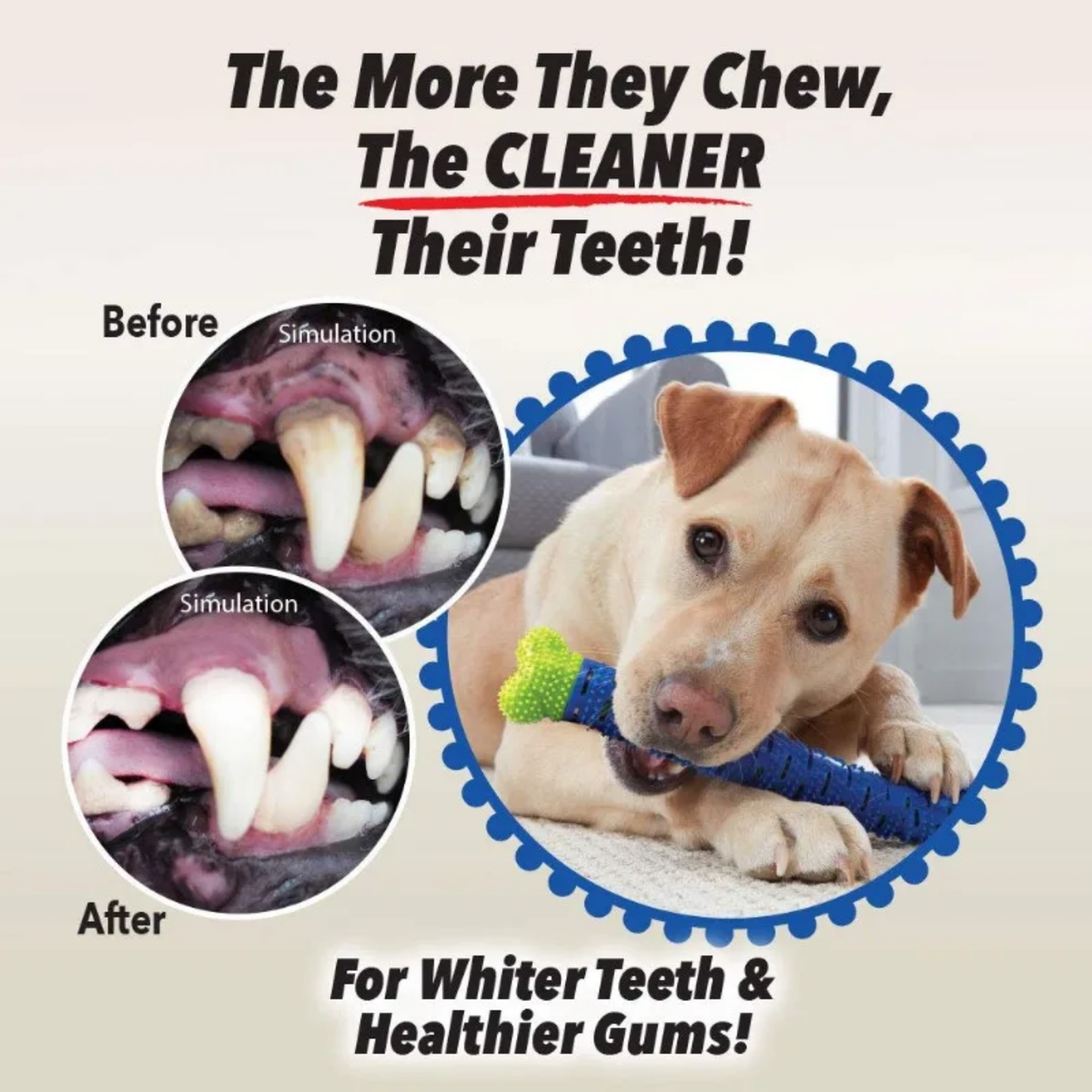 GrindClean Dog Chew Bone 🦴- Chew More. Stress Less. Smile Brighter.