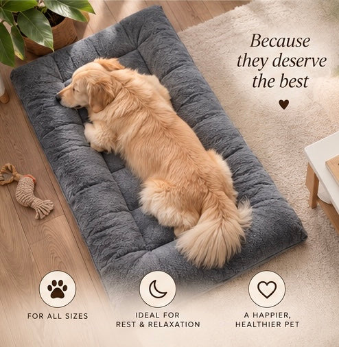The Cloud Bed — Extra Large Plush Dog Sofa Bed, Thickened & Super Soft 🐶☁️