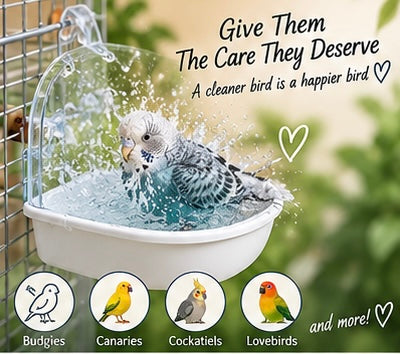 The Splash Suite — Transparent Bird Bath Tub for Parrots & Lovebirds 🦜💧