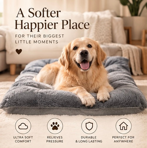 The Cloud Bed — Extra Large Plush Dog Sofa Bed, Thickened & Super Soft 🐶☁️
