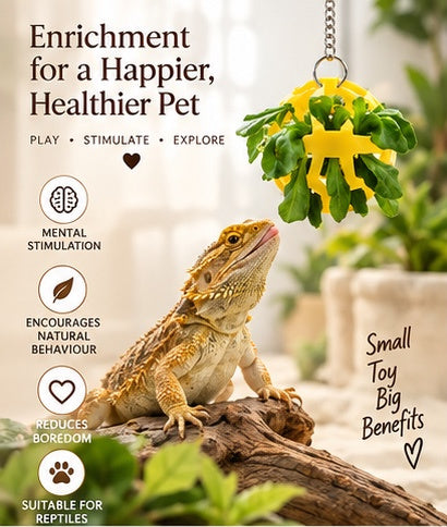 The Dragon Bell Set — Suction Cup Enrichment & Feeding Toy for Bearded Dragons & Geckos 🦎🔔