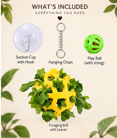 The Dragon Bell Set — Suction Cup Enrichment & Feeding Toy for Bearded Dragons & Geckos 🦎🔔