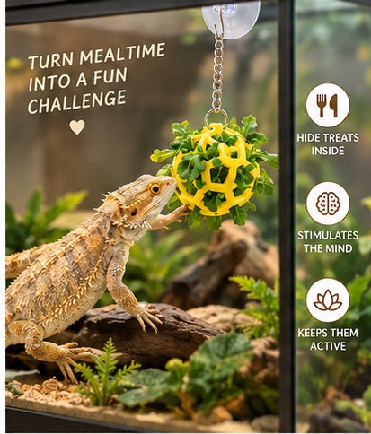 The Dragon Bell Set — Suction Cup Enrichment & Feeding Toy for Bearded Dragons & Geckos 🦎🔔