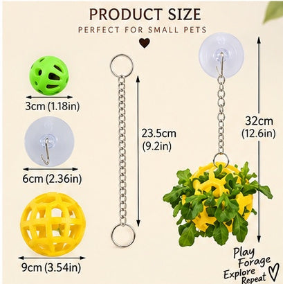 The Dragon Bell Set — Suction Cup Enrichment & Feeding Toy for Bearded Dragons & Geckos 🦎🔔