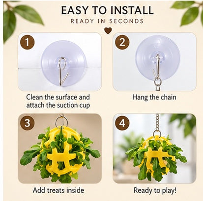 The Dragon Bell Set — Suction Cup Enrichment & Feeding Toy for Bearded Dragons & Geckos 🦎🔔