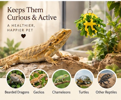 The Dragon Bell Set — Suction Cup Enrichment & Feeding Toy for Bearded Dragons & Geckos 🦎🔔