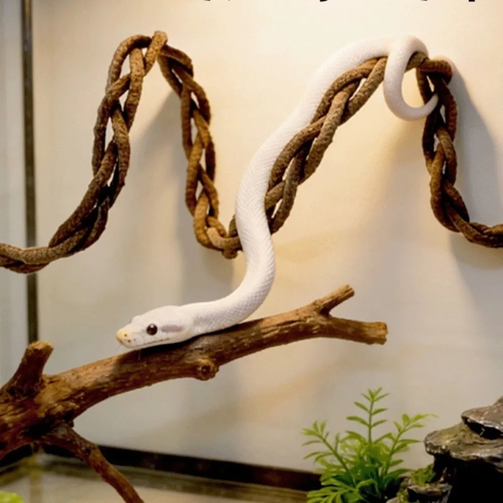 The Jungle Swing — Reptile Vine Hammock & Climbing Toy for Lizards & Birds 🦎🌿