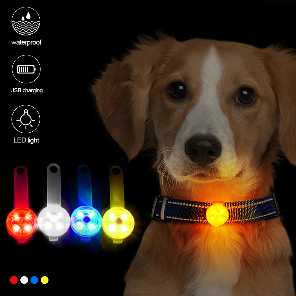 The Night Light Tag — USB Rechargeable LED Safety Pendant for Dogs & Cats 🐕💡