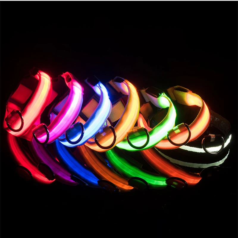 The Glow Up Collar — LED Luminous Dog Collar with Glitter Pendant, USB or Battery 🐕✨
