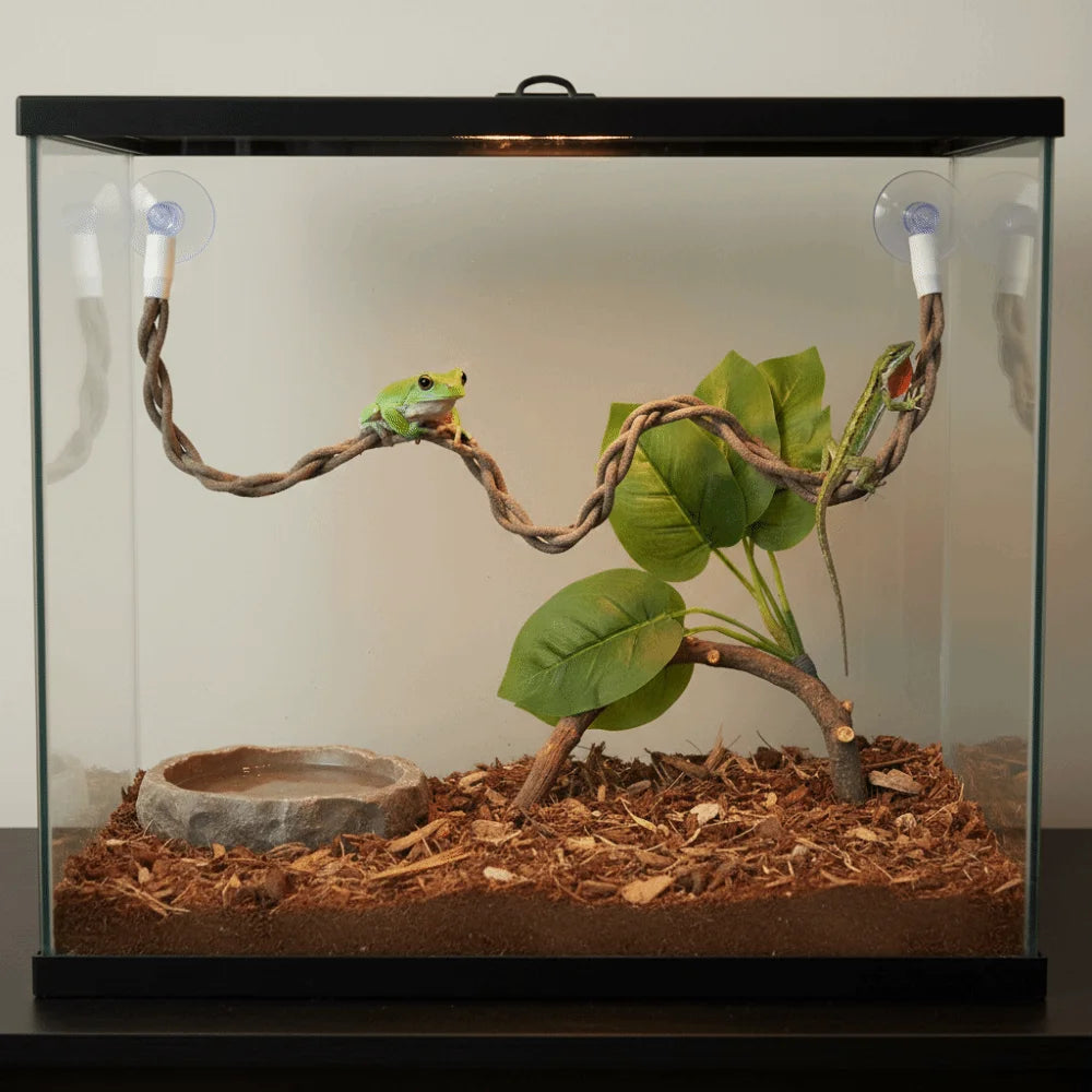 The Jungle Swing — Reptile Vine Hammock & Climbing Toy for Lizards & Birds 🦎🌿