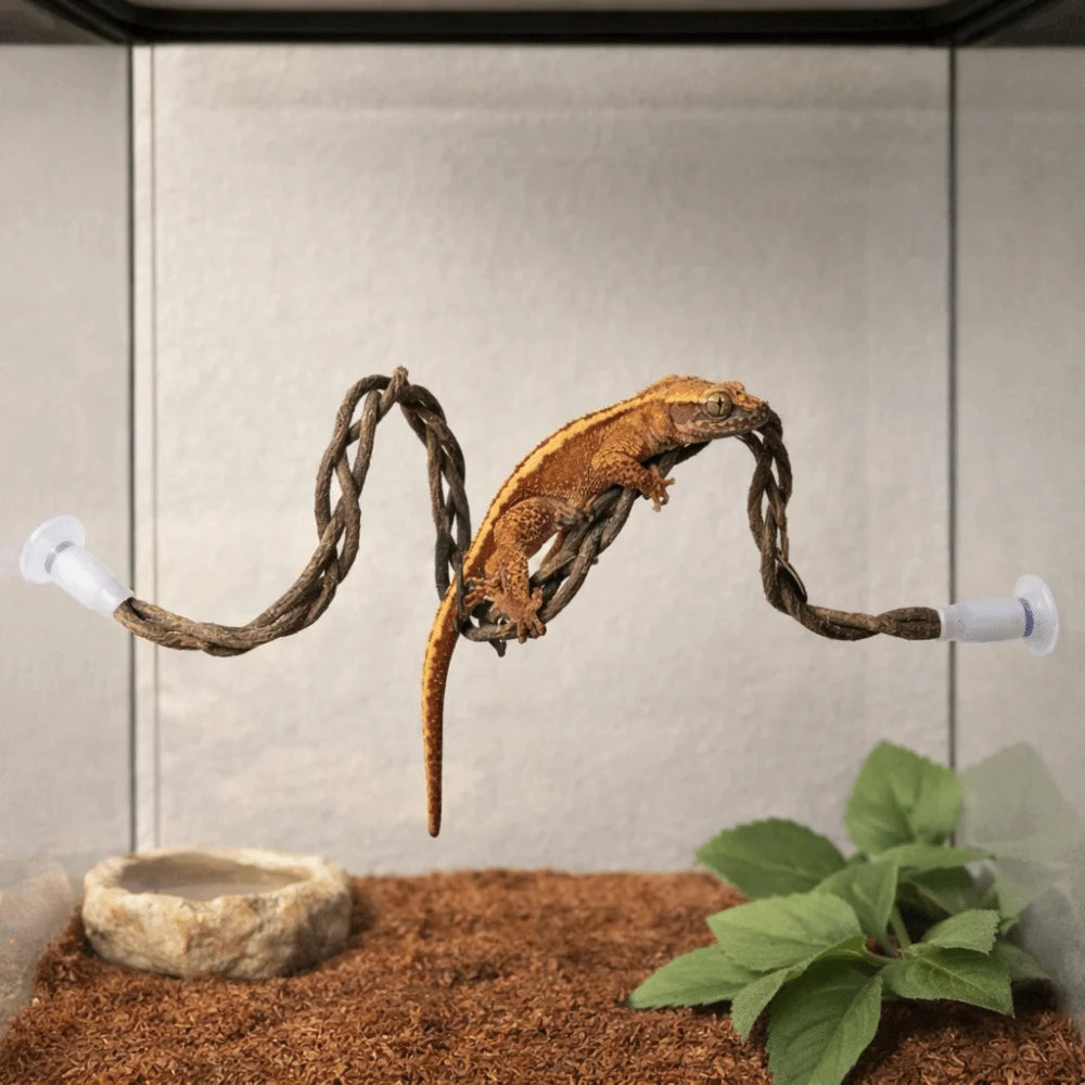 The Jungle Swing — Reptile Vine Hammock & Climbing Toy for Lizards & Birds 🦎🌿