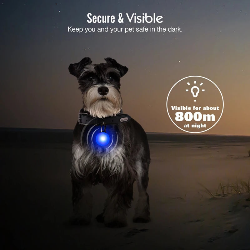 The Glow Up Collar — LED Luminous Dog Collar with Glitter Pendant, USB or Battery 🐕✨