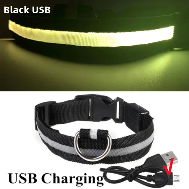 The Glow Up Collar — LED Luminous Dog Collar with Glitter Pendant, USB or Battery 🐕✨