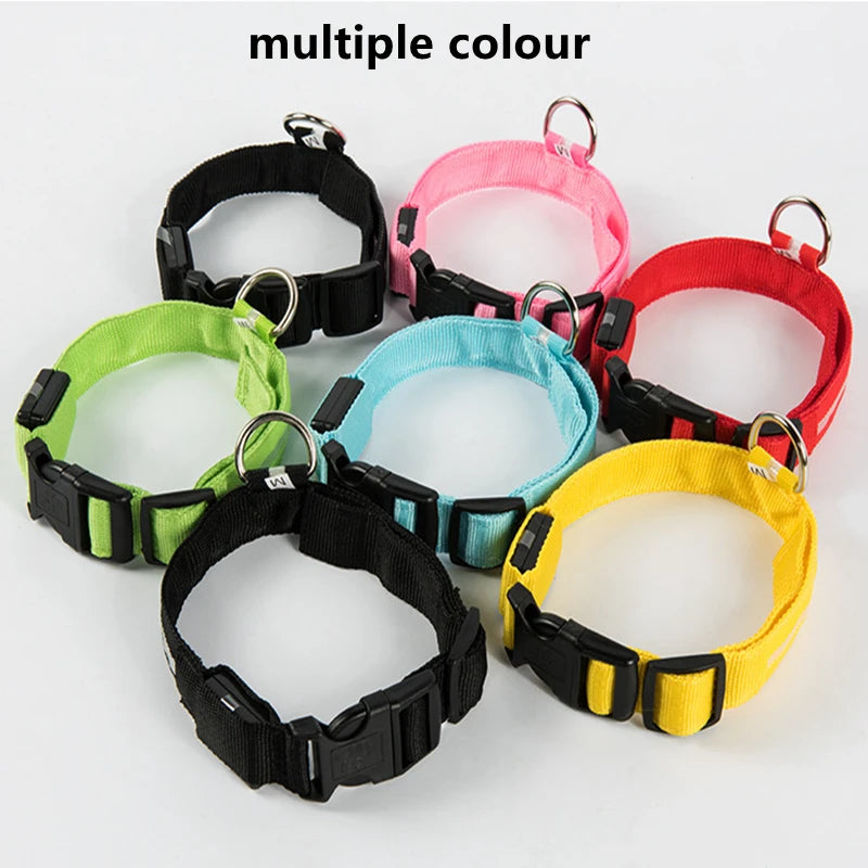 The Glow Up Collar — LED Luminous Dog Collar with Glitter Pendant, USB or Battery 🐕✨