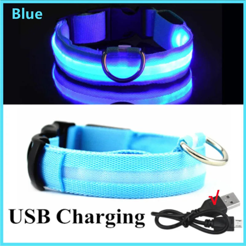 The Glow Up Collar — LED Luminous Dog Collar with Glitter Pendant, USB or Battery 🐕✨