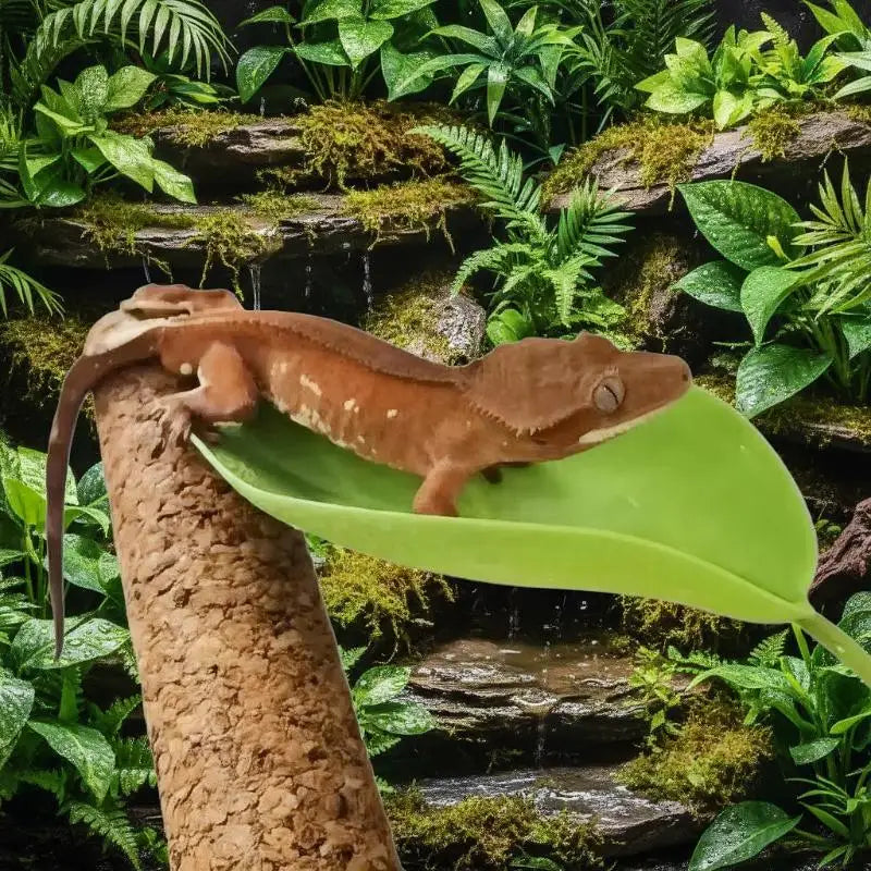 The Jungle Leaf Lounge — Simulated Leaf Terrarium Décor for Geckos & Tree Frogs 🦎🌿