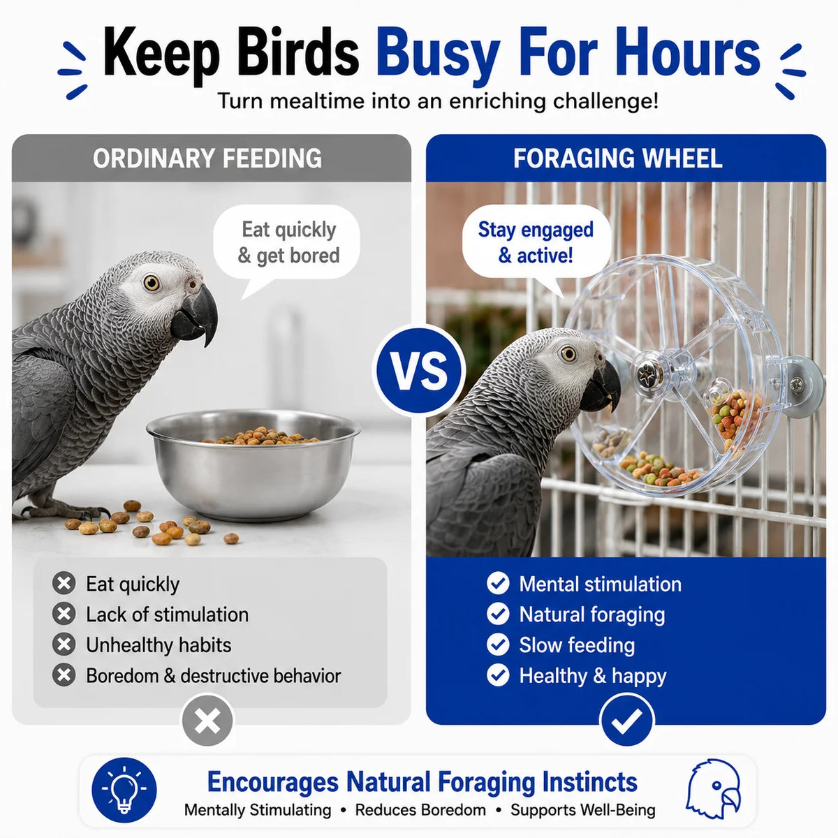 The Grand Forage Wheel — Rotating Treat Dispenser for Parrots & Macaws 🦜🌏