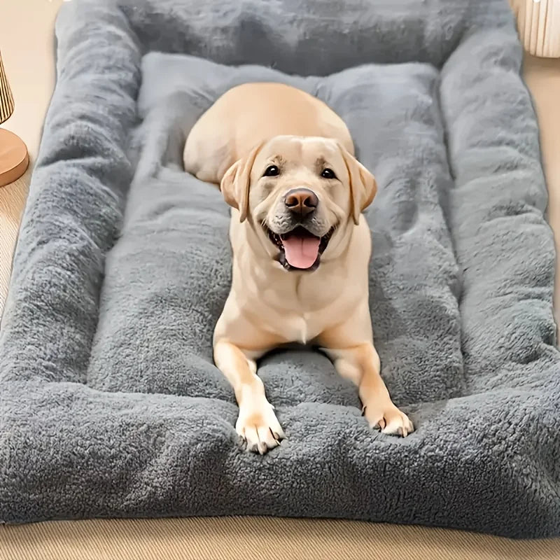 The Cloud Bed — Extra Large Plush Dog Sofa Bed, Thickened & Super Soft 🐶☁️
