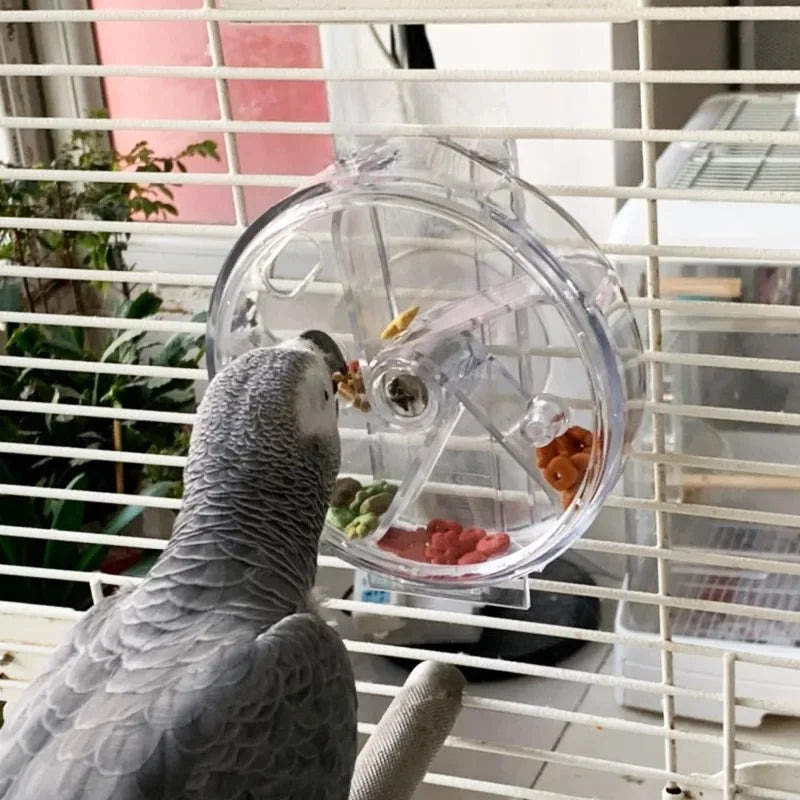 The Grand Forage Wheel — Rotating Treat Dispenser for Parrots & Macaws 🦜🌏