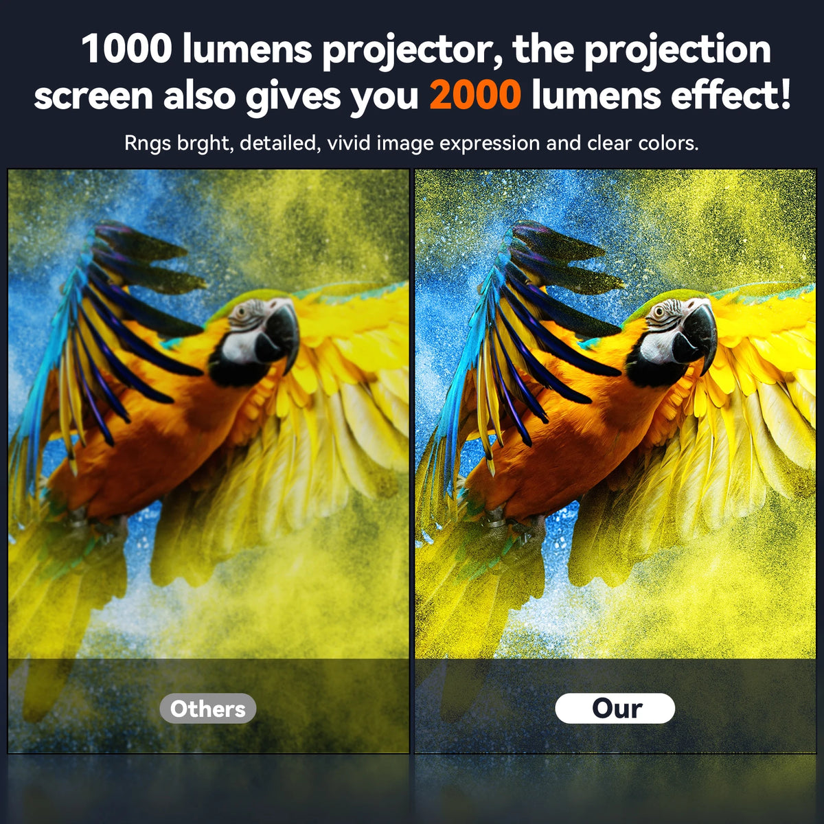 The screen Majesty — HD Anti-Light Projector Screen for Cinema Nights at Home 🎬✨