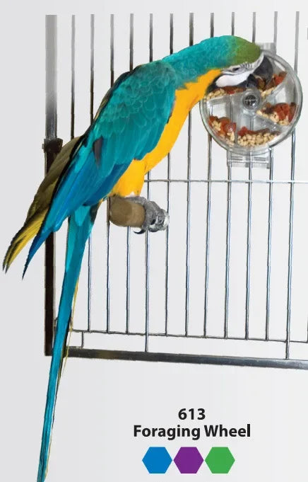 The Grand Forage Wheel — Rotating Treat Dispenser for Parrots & Macaws 🦜🌏
