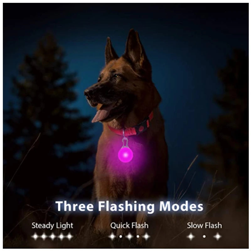 The Glow Up Collar — LED Luminous Dog Collar with Glitter Pendant, USB or Battery 🐕✨