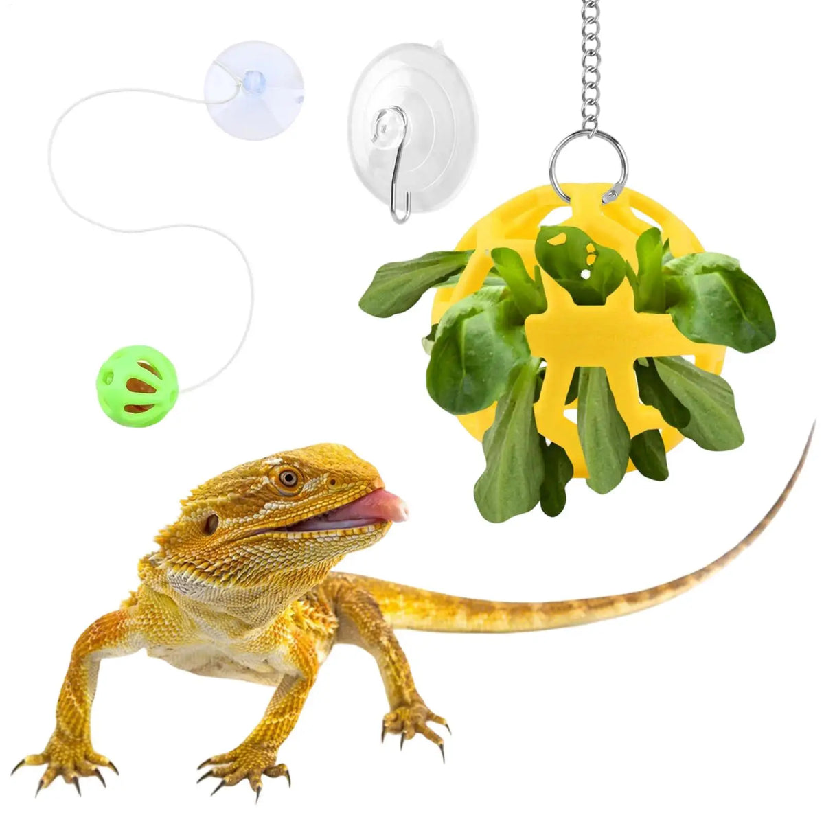 The Dragon Bell Set — Suction Cup Enrichment & Feeding Toy for Bearded Dragons & Geckos 🦎🔔
