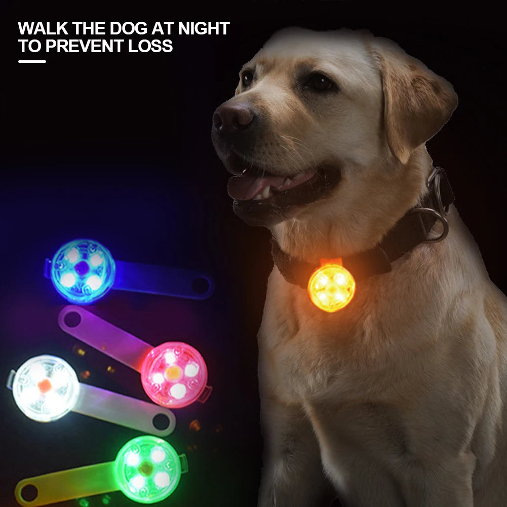The Night Light Tag — USB Rechargeable LED Safety Pendant for Dogs & Cats 🐕💡
