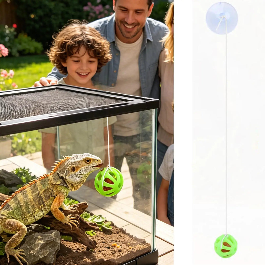 The Dragon Bell Set — Suction Cup Enrichment & Feeding Toy for Bearded Dragons & Geckos 🦎🔔