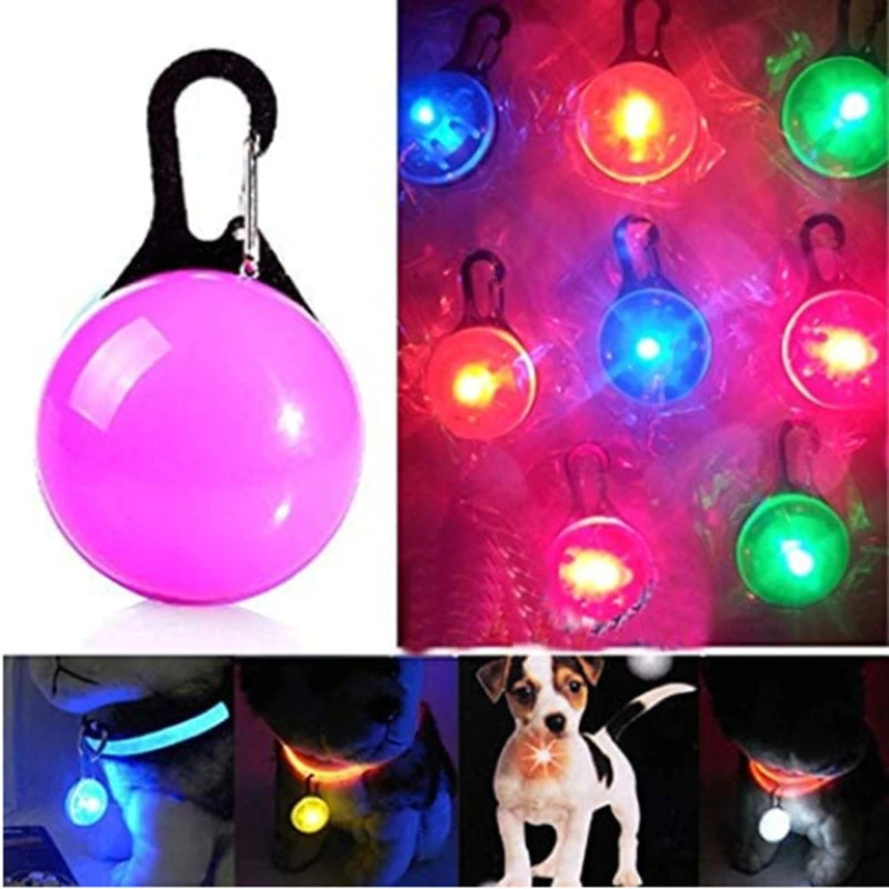 The Glow Up Collar — LED Luminous Dog Collar with Glitter Pendant, USB or Battery 🐕✨