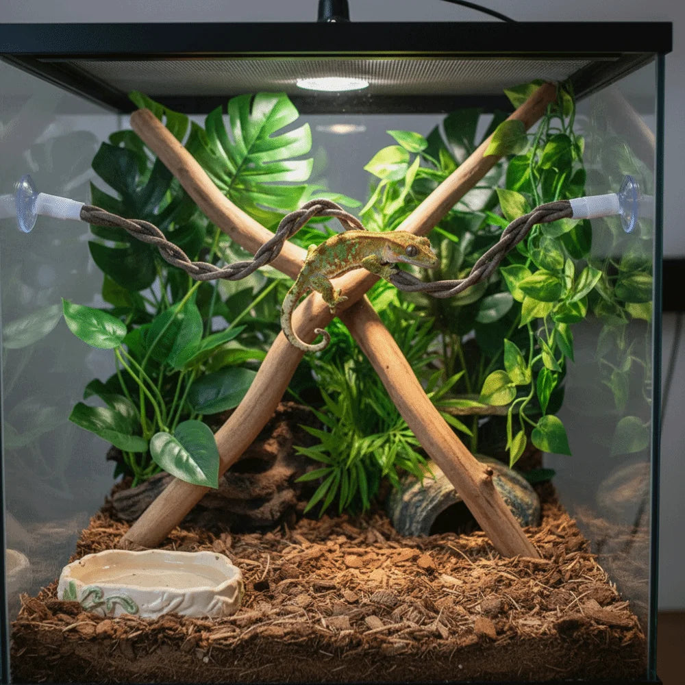 The Jungle Swing — Reptile Vine Hammock & Climbing Toy for Lizards & Birds 🦎🌿