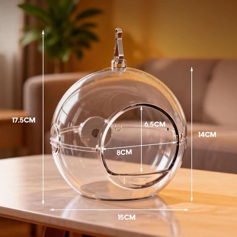 The Crystal Nest — Transparent Hanging Bird House for Parakeets & Small Parrots 🦜✨