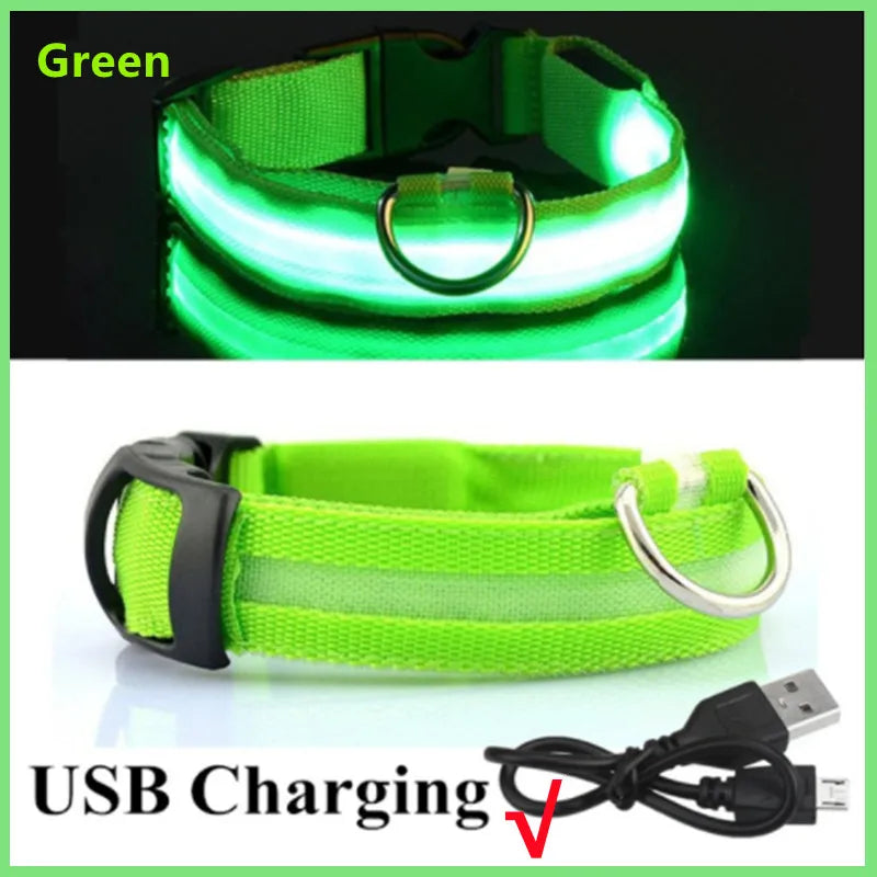 The Glow Up Collar — LED Luminous Dog Collar with Glitter Pendant, USB or Battery 🐕✨