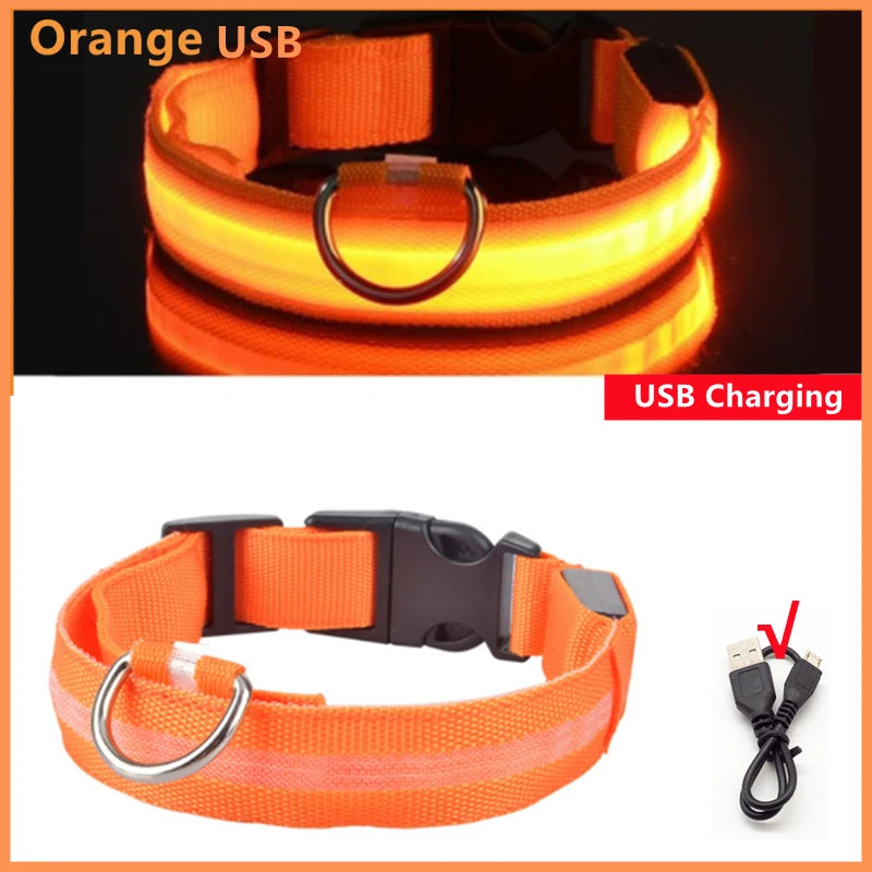 The Glow Up Collar — LED Luminous Dog Collar with Glitter Pendant, USB or Battery 🐕✨