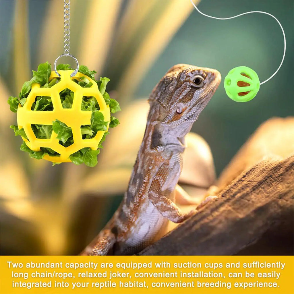 The Dragon Bell Set — Suction Cup Enrichment & Feeding Toy for Bearded Dragons & Geckos 🦎🔔