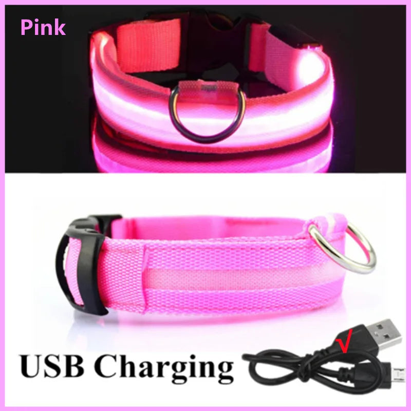 The Glow Up Collar — LED Luminous Dog Collar with Glitter Pendant, USB or Battery 🐕✨