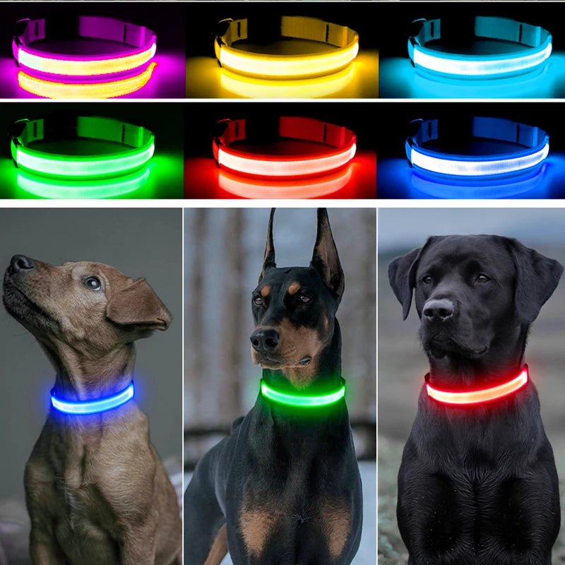 The Glow Up Collar — LED Luminous Dog Collar with Glitter Pendant, USB or Battery 🐕✨