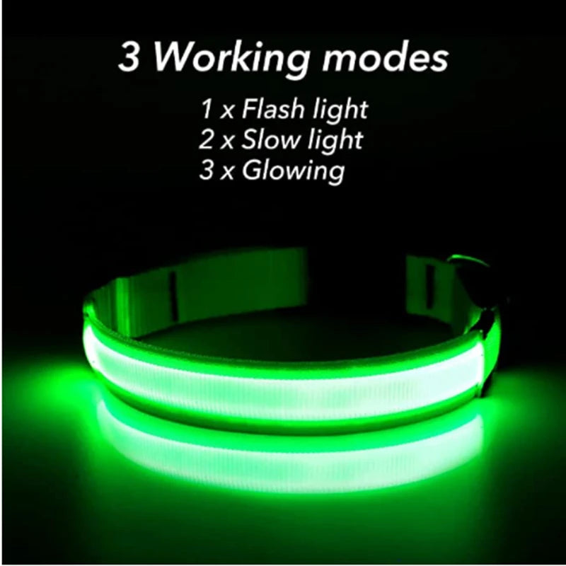 The Glow Up Collar — LED Luminous Dog Collar with Glitter Pendant, USB or Battery 🐕✨