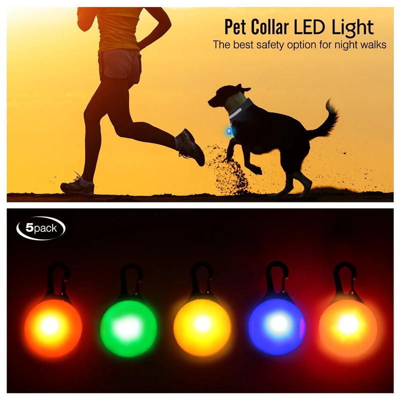 The Glow Up Collar — LED Luminous Dog Collar with Glitter Pendant, USB or Battery 🐕✨