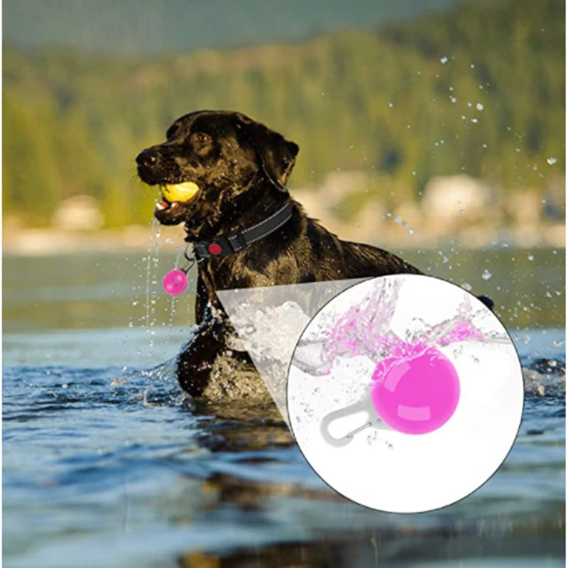 The Glow Up Collar — LED Luminous Dog Collar with Glitter Pendant, USB or Battery 🐕✨