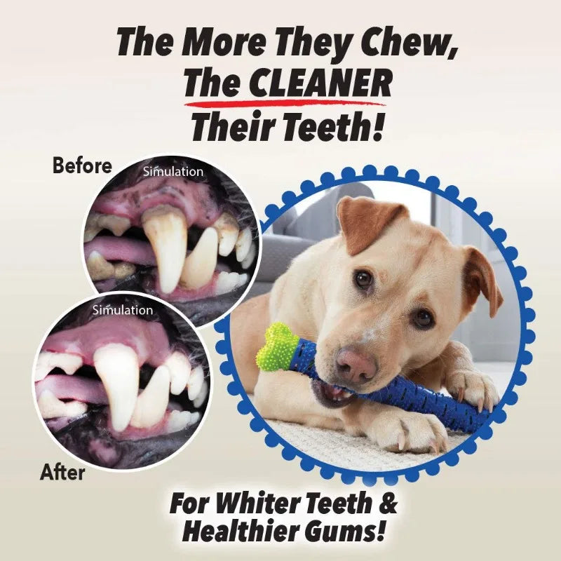 GrindClean Dog Chew Bone 🦴- Chew More. Stress Less. Smile Brighter.