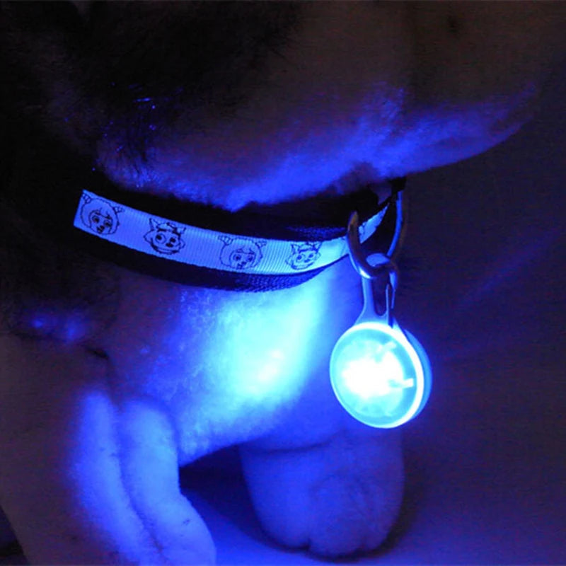 The Glow Up Collar — LED Luminous Dog Collar with Glitter Pendant, USB or Battery 🐕✨