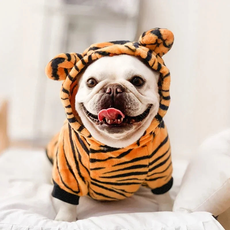The Cosplay Cutie — Warm Fleece Pet Costume for Dogs & Cats 🦁🐾