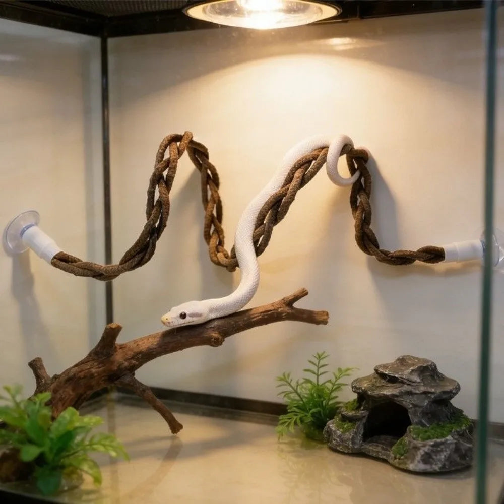 The Jungle Swing — Reptile Vine Hammock & Climbing Toy for Lizards & Birds 🦎🌿