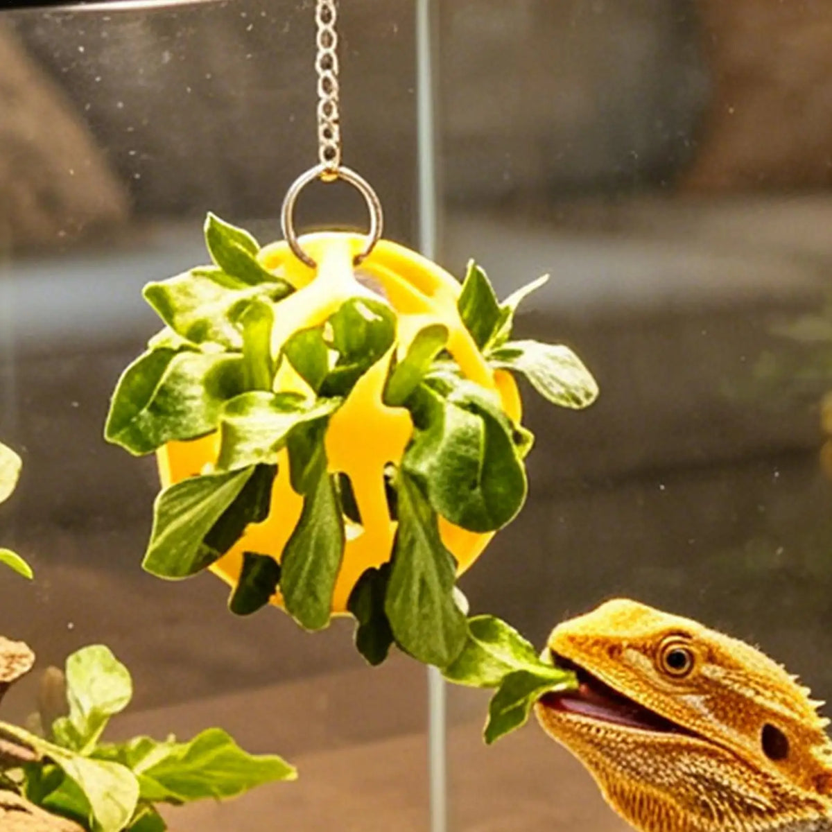 The Dragon Bell Set — Suction Cup Enrichment & Feeding Toy for Bearded Dragons & Geckos 🦎🔔